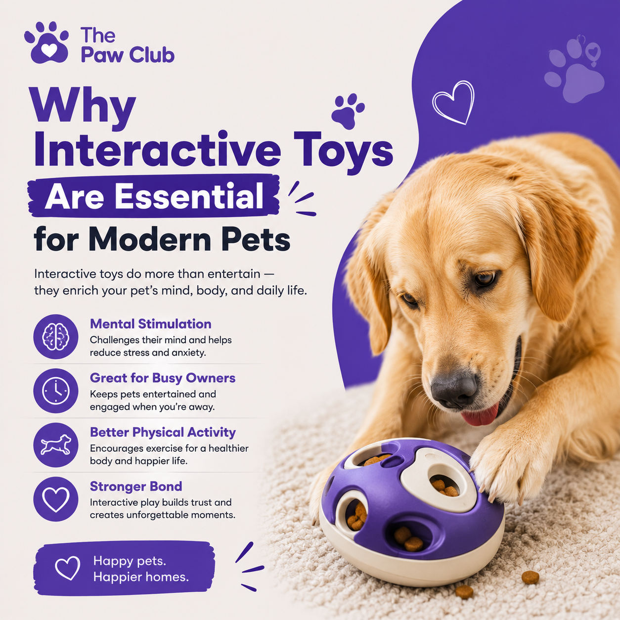 Why Interactive Toys Are Essential for Modern Pets