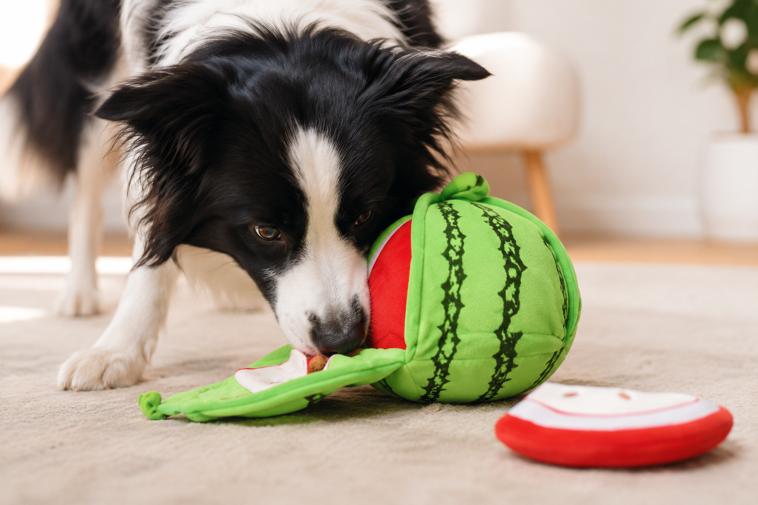 PawPuzzle™ Snuffle Toy