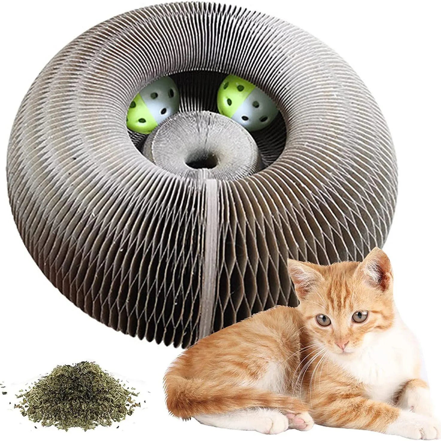 Magic Cat Scratch & Play