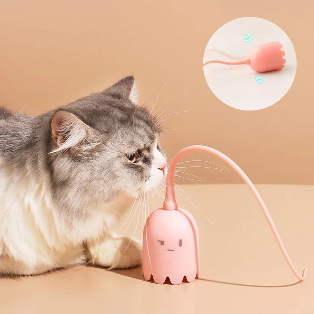 Electric Ghost Toy for Pets