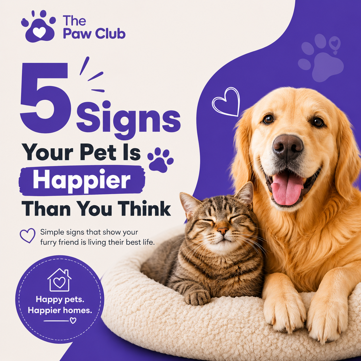 5 Signs Your Pet Is Happier Than You Think 🐾