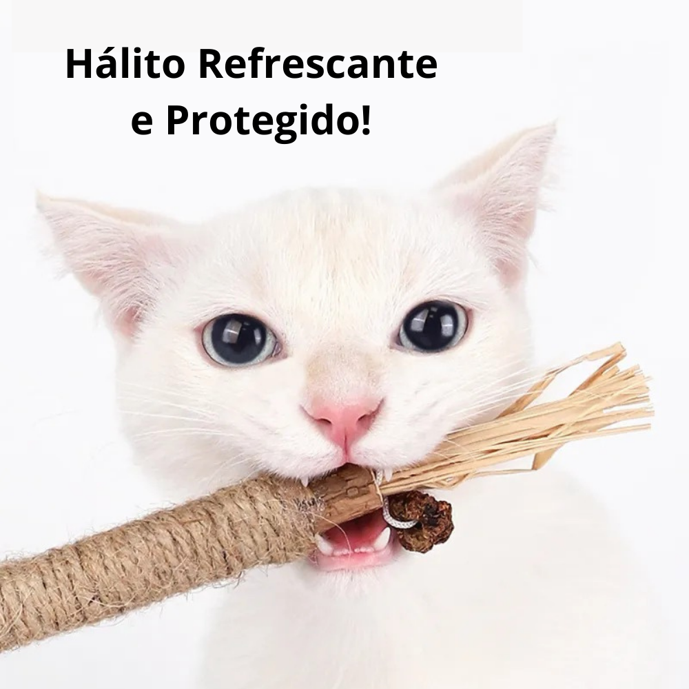 NatuHerb Toy – Feline Dental Health