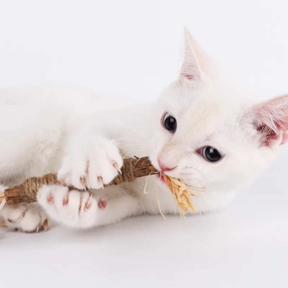 NatuHerb Toy – Feline Dental Health