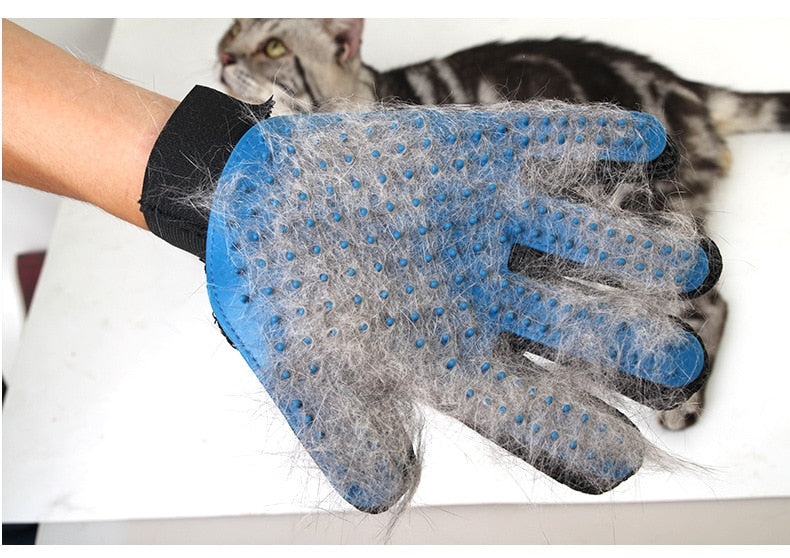 Pet Grooming Brush