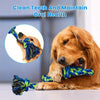 Indestructible Knot Dog Toy