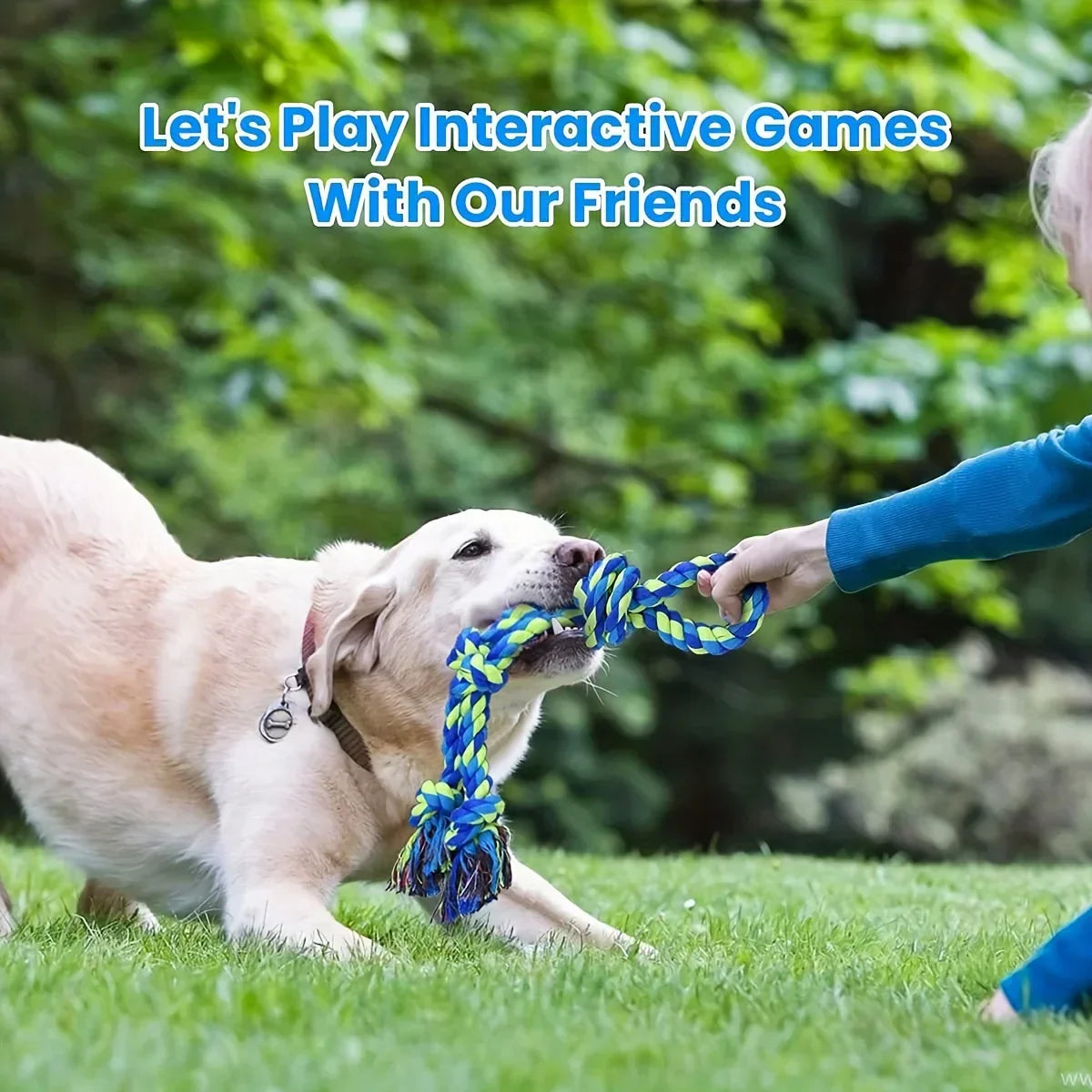 Indestructible Knot Dog Toy