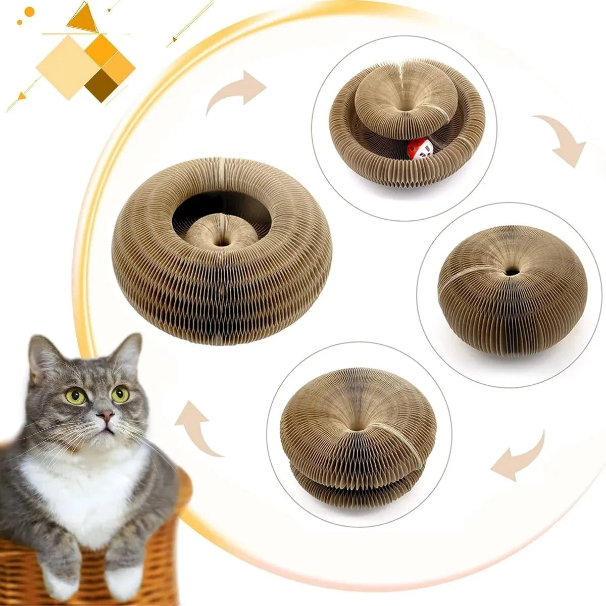 Magic Cat Scratch & Play