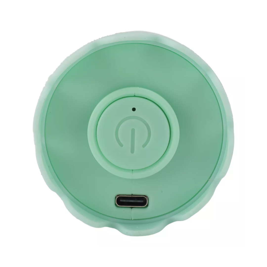 Electric Ghost Toy for Pets